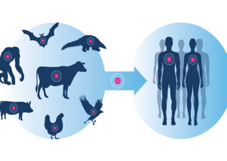 چرا بیماری‌های مشترک انسان و حیوان هنوز ما را تهدید می‌کنند؟