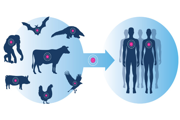 چرا بیماری‌های مشترک انسان و حیوان هنوز ما را تهدید می‌کنند؟