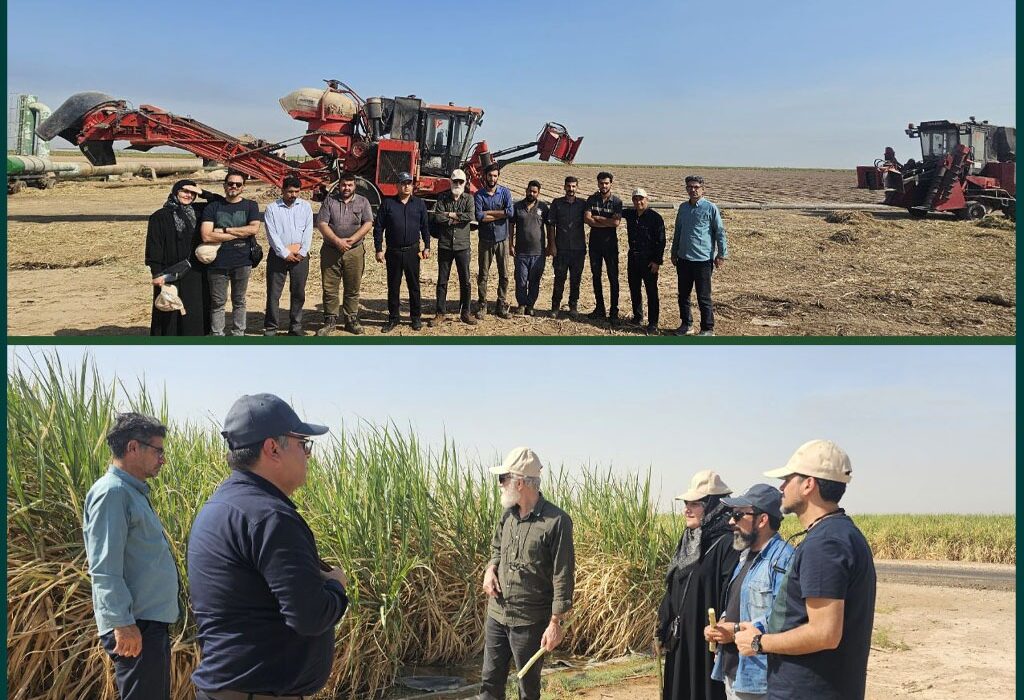 نیشکر خوزستان در قاب دوربین عکاسان کشوری؛ عکاسان کشوری از ظرفیت‌های صنعت نیشکر بازدید کردند