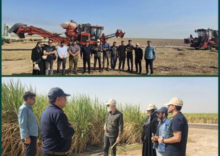 نیشکر خوزستان در قاب دوربین عکاسان کشوری؛ عکاسان کشوری از ظرفیت‌های صنعت نیشکر بازدید کردند